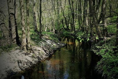 A view from the beautiful river in Poltava.