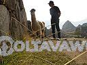 Machu-Picchu-022